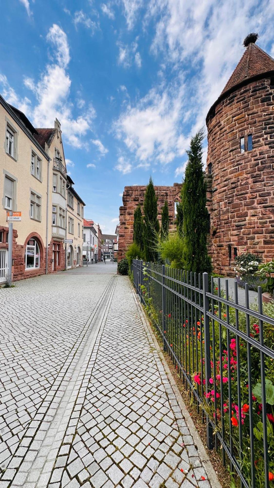 Amao-Brown I Exklusives City-Apartment I 85Qm I Privatparkplatz & Komfort I King-Size Bed Lahr/Schwarzwald Kültér fotó