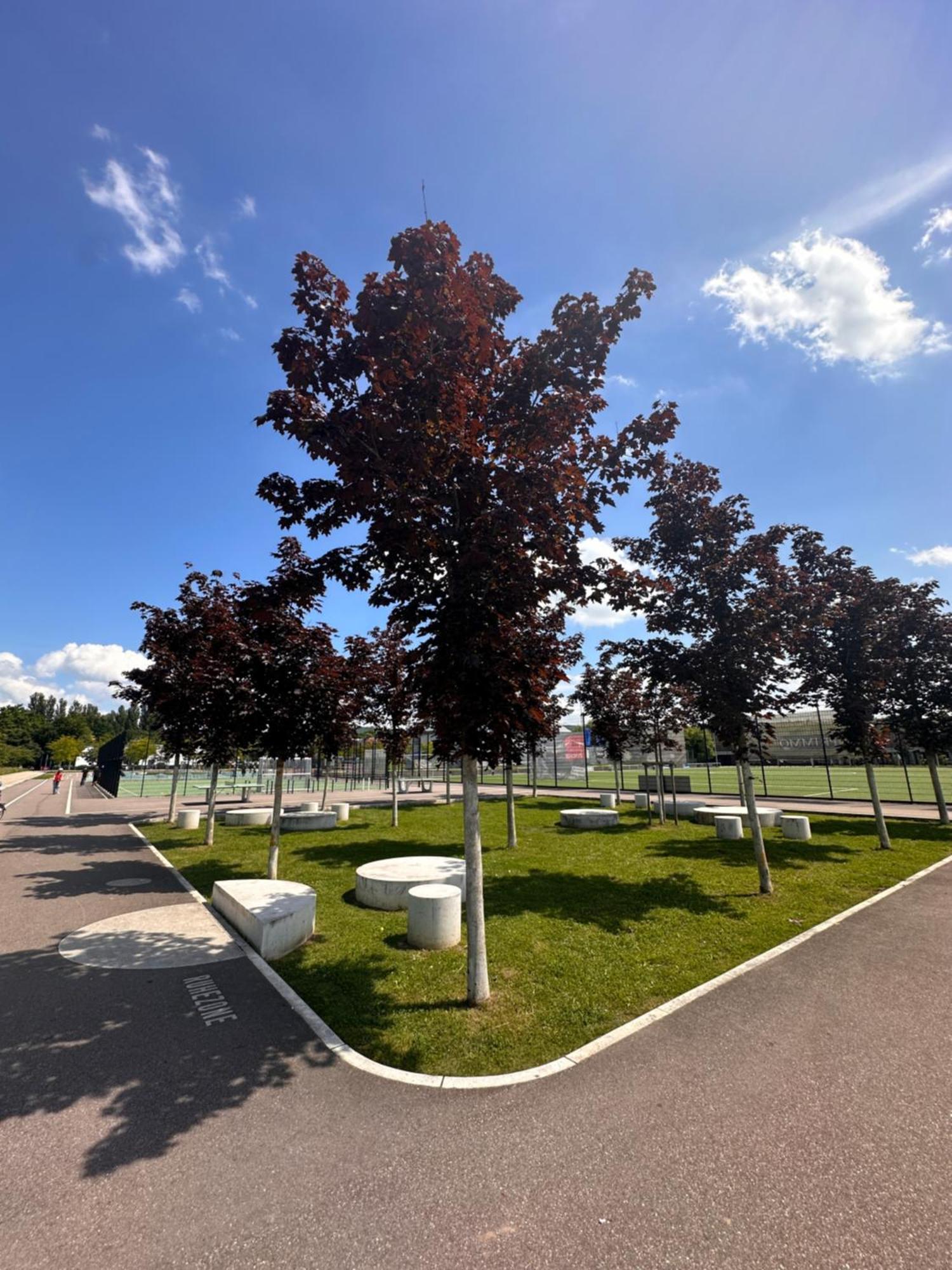 Amao-Brown I Exklusives City-Apartment I 85Qm I Privatparkplatz & Komfort I King-Size Bed Lahr/Schwarzwald Kültér fotó